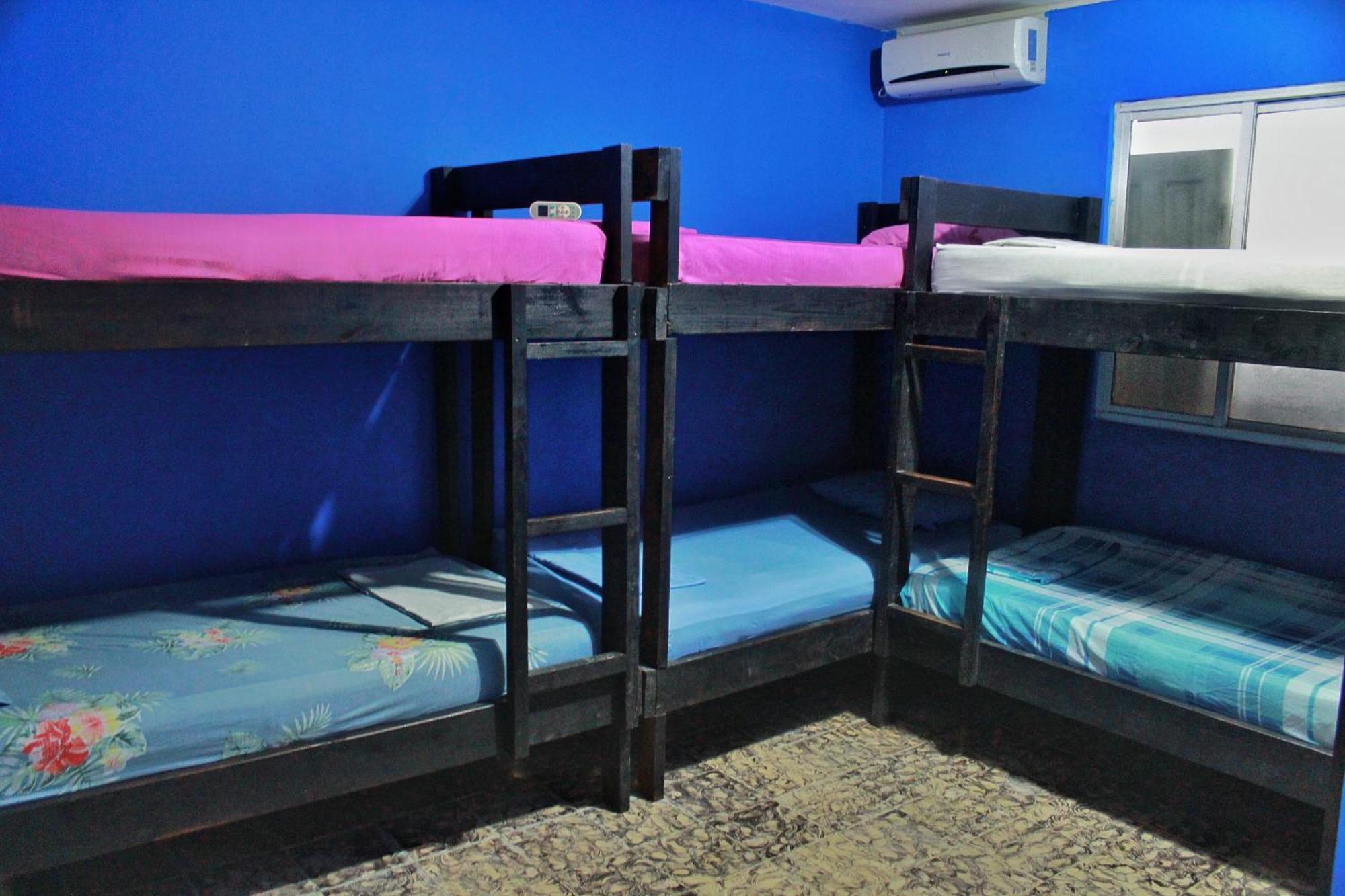 Twin Fin Hostels Bocas Town Exterior photo