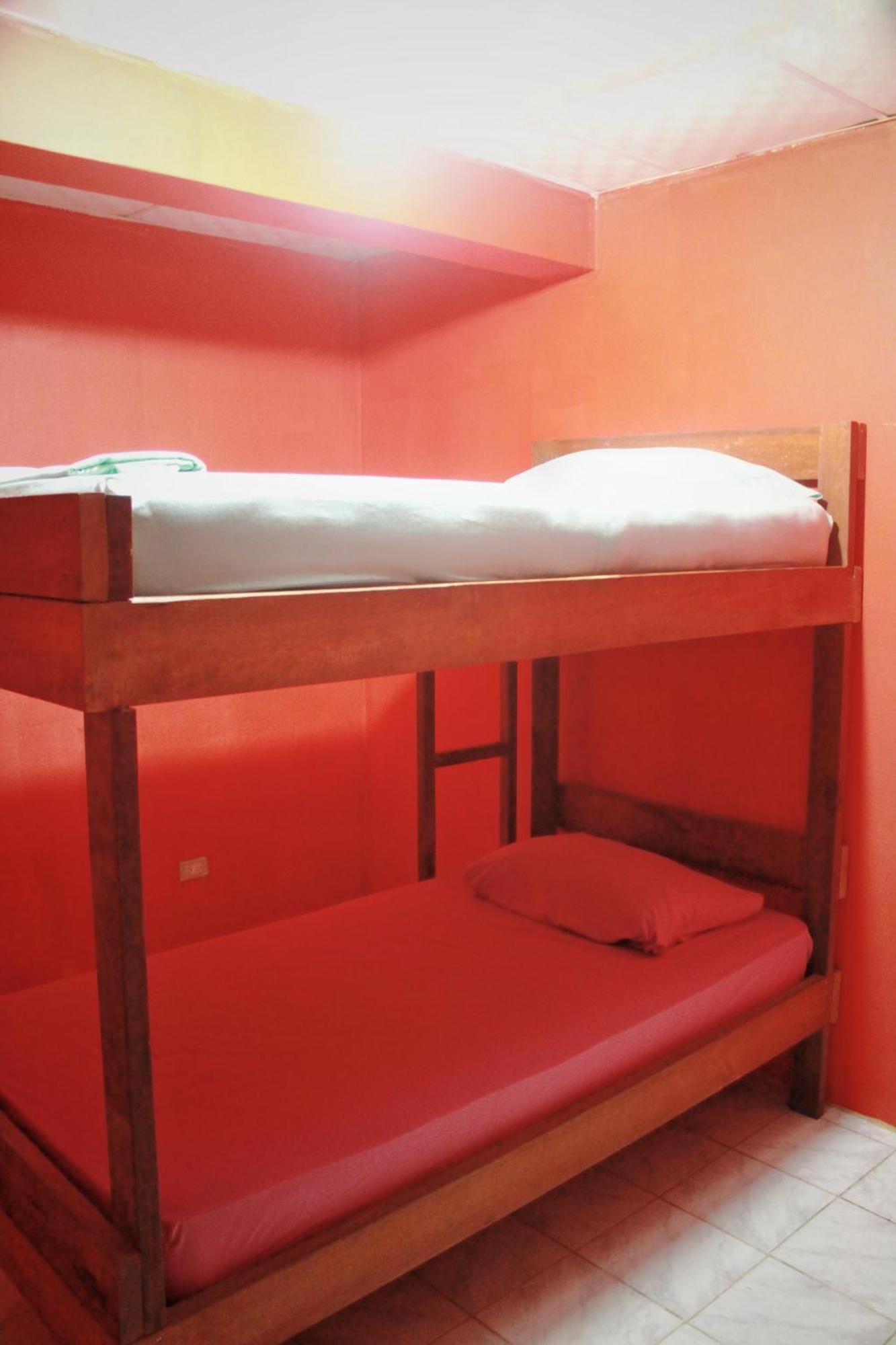 Twin Fin Hostels Bocas Town Exterior photo